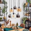 Koyoto hanging light, globe light, pendant light Amber, chrome, clear, Smoke-coloured, 6-light sources