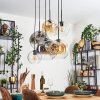 Ripoll hanging light, globe light, pendant light Amber, clear, Smoke-coloured, 6-light sources