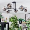 Ripoll ceiling light, globe light chrome, clear, Smoke-coloured, 6-light sources