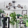 Ripoll ceiling light, globe light chrome, clear, Smoke-coloured, 6-light sources
