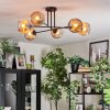 Ripoll ceiling light, globe light Amber, 6-light sources