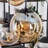 Gastor hanging light, globe light, pendant light Amber, chrome, clear, Smoke-coloured, 6-light sources