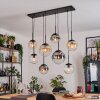 Gastor hanging light, globe light, pendant light Amber, clear, Smoke-coloured, 8-light sources