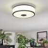 Elran ceiling light LED black, white, 1-light source