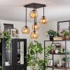 Ripoll ceiling light, globe light Amber, 5-light sources