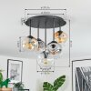 Ripoll ceiling light, globe light Amber, clear, Smoke-coloured, 5-light sources