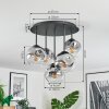 Ripoll ceiling light, globe light clear, Smoke-coloured, 5-light sources