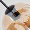 Ripoll hanging light, globe light, pendant light Amber, clear, Smoke-coloured, 8-light sources