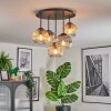 Ripoll ceiling light, globe light Amber, clear, Smoke-coloured, 5-light sources