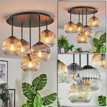 Ripoll ceiling light, globe light Amber, clear, Smoke-coloured, 5-light sources