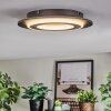 Lidor ceiling light LED black, 1-light source