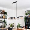 Koyoto hanging light, globe light, pendant light Amber, clear, Smoke-coloured, 5-light sources