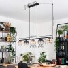 Koyoto hanging light, globe light, pendant light Amber, clear, Smoke-coloured, 5-light sources