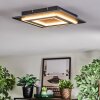 Lidor ceiling light LED black, 1-light source