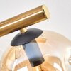 Ripoll ceiling light, globe light gold, black, 10-light sources