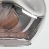 Ripoll ceiling light, globe light Amber, clear, Smoke-coloured, 5-light sources