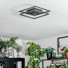 Manor ceiling light LED black, 1-light source, Remote control
