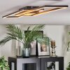 Manor ceiling light LED black, 1-light source, Remote control