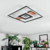 Hadel ceiling light LED Wood like finish, black, 1-light source