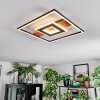 Hadel ceiling light LED Wood like finish, black, 1-light source