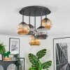 Ripoll ceiling light, globe light Amber, Smoke-coloured, 5-light sources