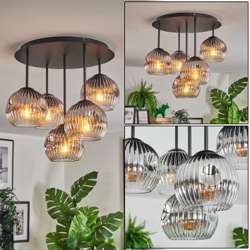Ripoll ceiling light, globe light chrome, clear, Smoke-coloured, 5-light sources