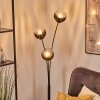 Koyoto globe light, floor lamp clear, Smoke-coloured, 3-light sources