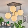Gastor ceiling light, globe light white, 5-light sources