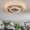 Lynor ceiling light LED anthracite, black, 1-light source