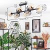 Koyoto ceiling light, globe light Amber, clear, Smoke-coloured, 10-light sources