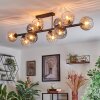 Koyoto ceiling light, globe light Amber, clear, Smoke-coloured, 10-light sources