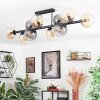 Koyoto ceiling light, globe light Amber, clear, Smoke-coloured, 10-light sources