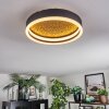 Guine ceiling light LED gold, black, 1-light source