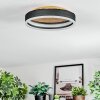 Guine ceiling light LED gold, black, 1-light source