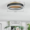 Guine ceiling light LED gold, black, 1-light source