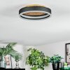 Guine ceiling light LED gold, black, 1-light source
