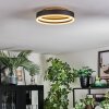 Guine ceiling light LED gold, black, 1-light source