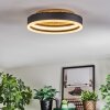 Guine ceiling light LED gold, black, 1-light source