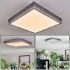 Salmi ceiling light, Panel LED grey, silver, 1-light source
