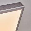 Salmi ceiling light, Panel LED grey, silver, 1-light source