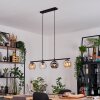 Ripoll hanging light, globe light, pendant light Amber, clear, Smoke-coloured, 4-light sources