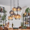 Ripoll hanging light, globe light, pendant light Amber, clear, Smoke-coloured, 6-light sources