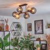 Koyoto ceiling light, globe light Amber, Smoke-coloured, 6-light sources