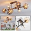 Ripoll ceiling light, globe light Amber, clear, Smoke-coloured, 8-light sources