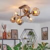 Ripoll ceiling light, globe light Amber, clear, Smoke-coloured, 8-light sources