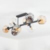Ripoll ceiling light, globe light Amber, clear, Smoke-coloured, 8-light sources