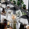 Ripoll hanging light, globe light, pendant light Amber, clear, Smoke-coloured, 5-light sources