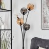 Koyoto globe light, floor lamp Amber, clear, Smoke-coloured, 5-light sources
