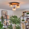 Ripoll ceiling light, globe light brown, Wood like finish, black, 3-light sources