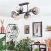 Koyoto ceiling light, globe light Amber, clear, Smoke-coloured, 6-light sources